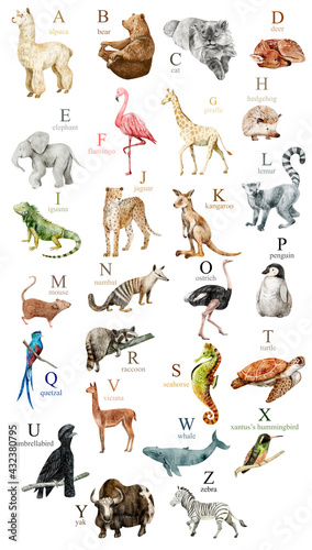 Watercolor cute animals alphabet for kids education. 