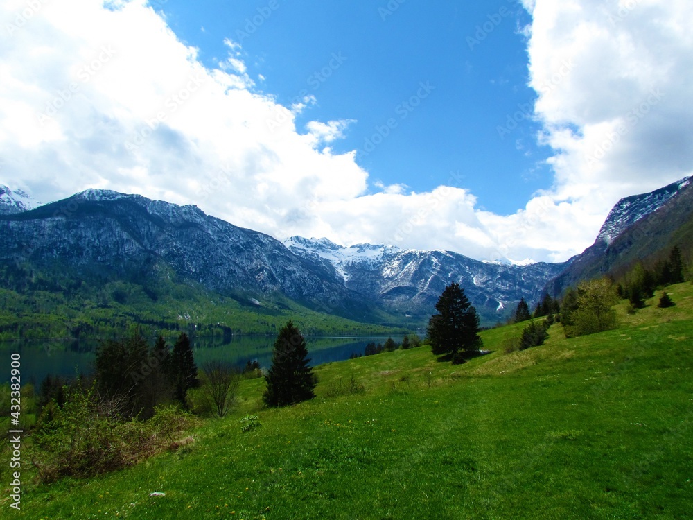 View of Bohinj lake in spring with a beautiful green meadow in front and snow covered peak of Julian alps above the lake View of Bohinj lake in spring with a beautiful green meadow in front and snow covered peak of Julian alps above the lake