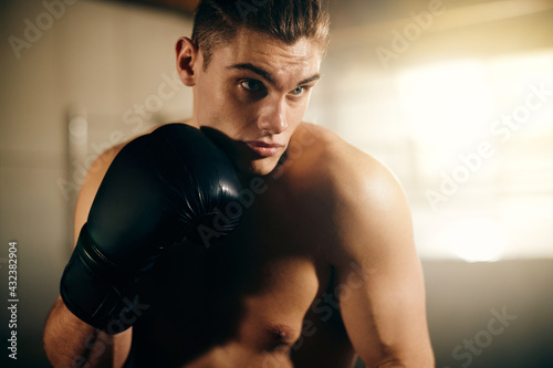 Young boxer with black boxing gloves during sports training in a gym. © Drazen