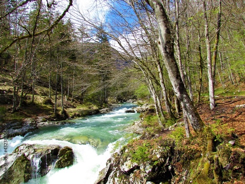 Scenic Mostnica river at Mostnica gorge in Julian alps and Triglav national park  Gorenjska  Slovenia in spring