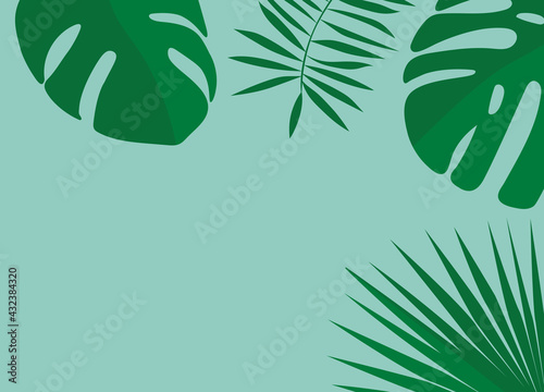 summer top view composition  tropical monstera palm leaves with copy space- vector illustration