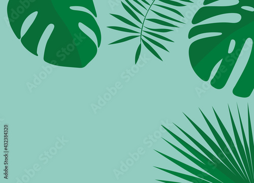 summer top view composition, tropical monstera palm leaves with copy space- vector illustration