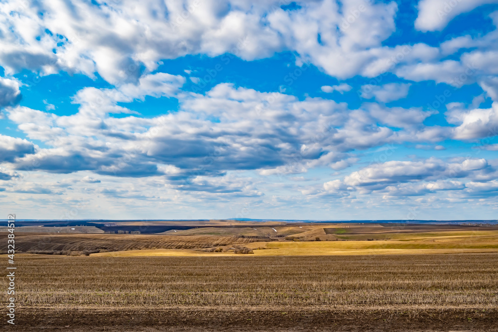 a landscape of spring fields with melting snow, dry grass and dug-up agricultural land, against a blue sky with beautiful cumulus clouds