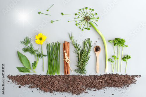 Spring summer salad food, h...