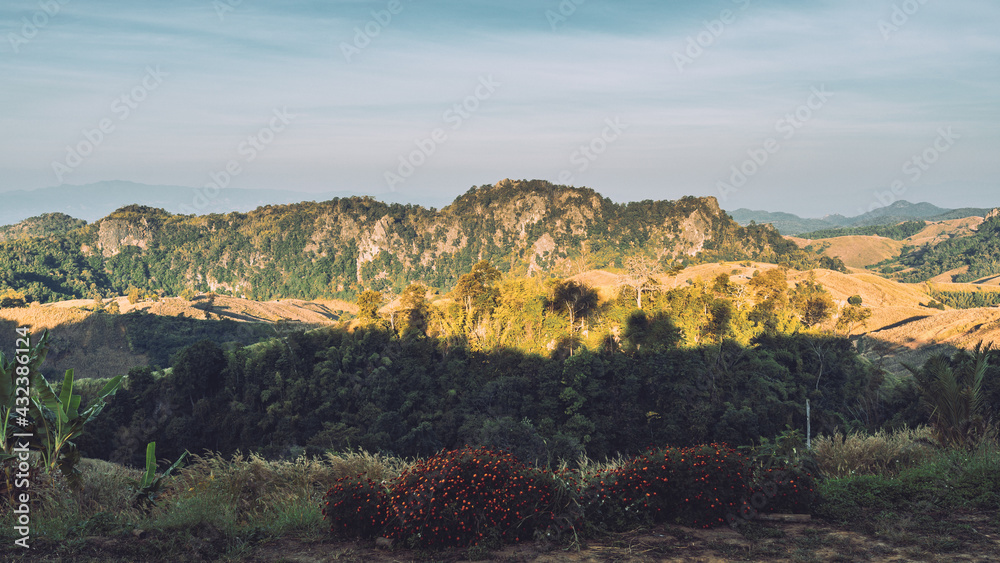 Fototapeta premium landscape with mountains
