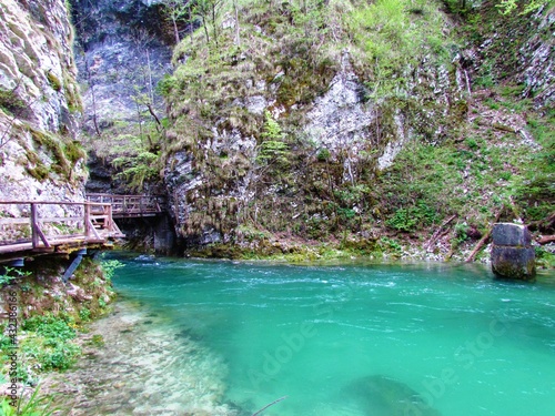 Beautiful turquoise colored river at Blejski Vintgar in Gorenjska, Slovenia photo