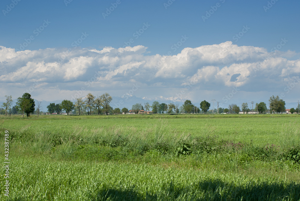 terreno agricolo coltivato in campagna