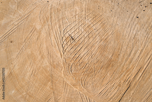 Textured wood surface of sawn tree, top view. Wooden background, copy space.