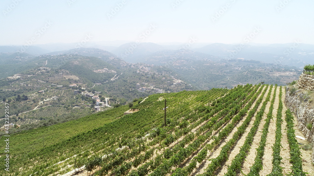 Vineyard with christian cross view. Summer season. Red wine in the making. Syrah, Cabernet sauvignon, Cabernet Franc, Merlot. Wine tasting. Family business in the mountains. Wine lovers. Vineyard walk Vineyard with christian cross view. Summer season. Red wine in the making. Syrah, Cabernet sauvignon, Cabernet Franc, Merlot. Wine tasting. Family business in the mountains. Wine lovers. Vineyard walk