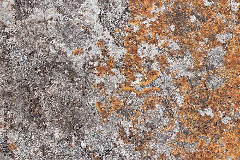 grunge stone concrete cement wall texture surface backdrop