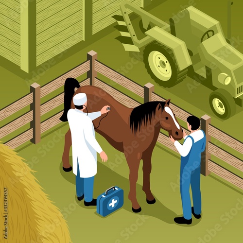 Farm Veterinary Isometric Composition