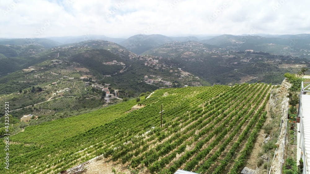 Vineyard view from above. Summertime. Red wine in the making. Syrah, Cabernet sauvignon, Cabernet Franc, Merlot. Wine tasting. Family business in the mountains. Wine lovers. Vineyard walk
Vineyard view from above. Summertime. Red wine in the making. Syrah, Cabernet sauvignon, Cabernet Franc, Merlot. Wine tasting. Family business in the mountains. Wine lovers. Vineyard walk