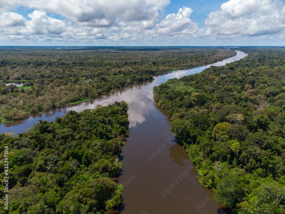 amazon flooded forest and community