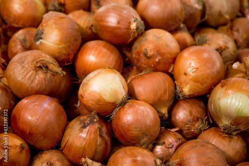 Vegetables Pictures. great for menu and supermarkets