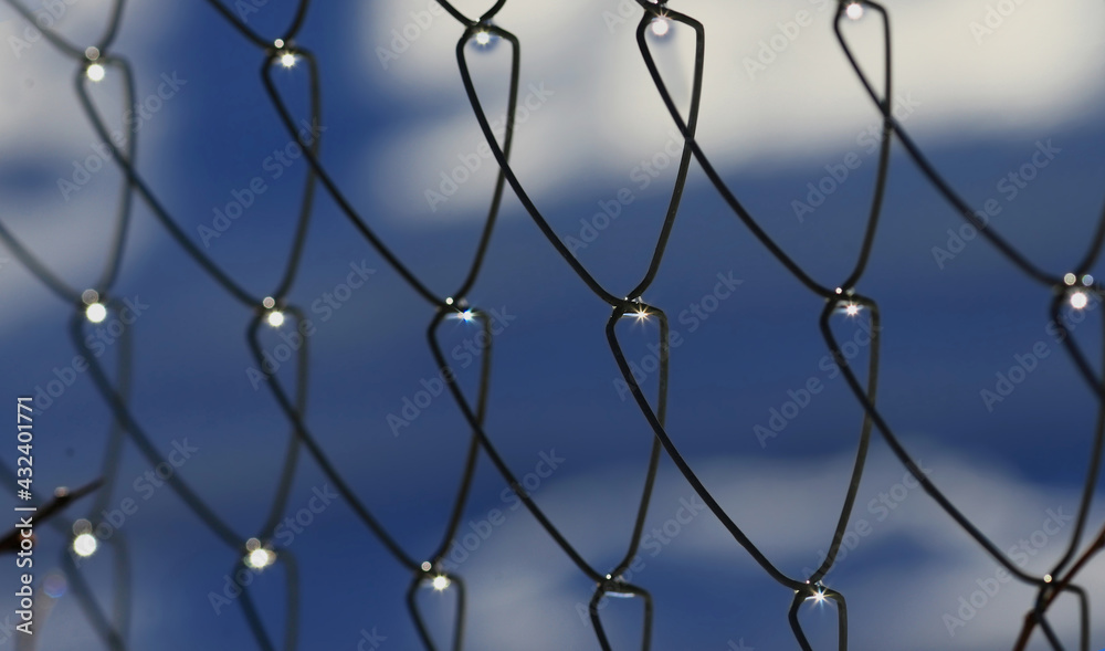 Water droplets from morning frost on the mesh fence shine like diamonds .. Water droplets from morning frost on the mesh fence shine like diamonds ..