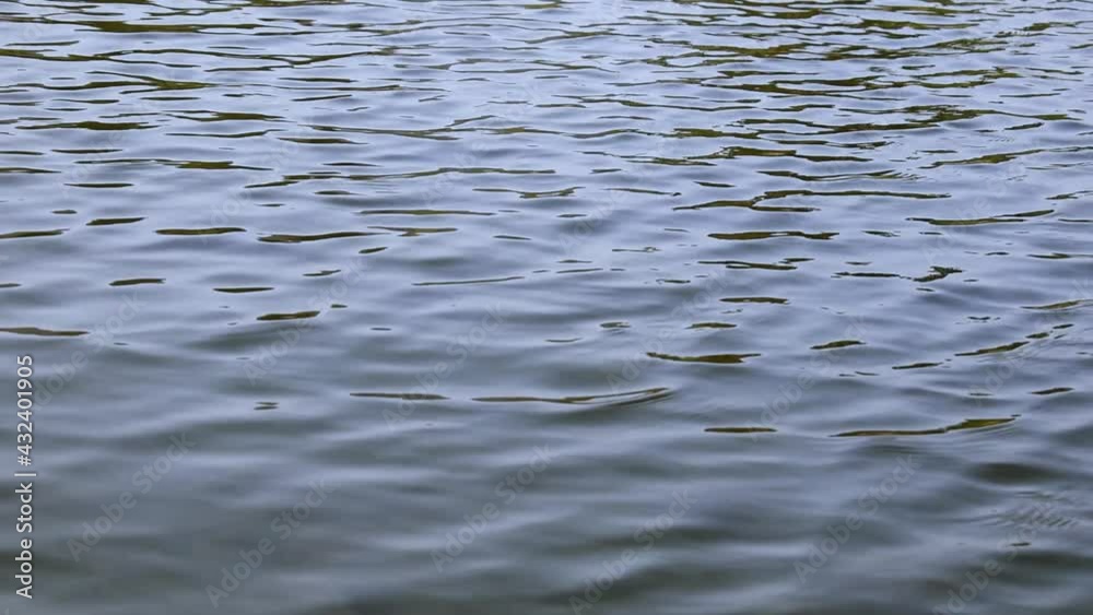 Calm Ripples On The River Water Surface, Close Up, Slow Motion. Quiet And Calm River. Calm Ripples On The River Water Surface, Close Up, Slow Motion. Quiet And Calm River.