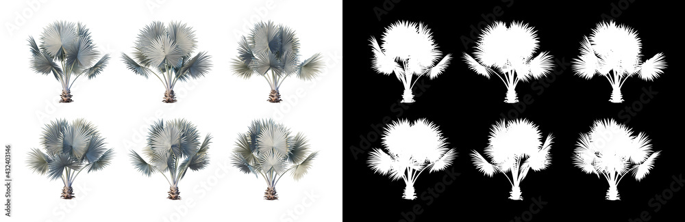 Obraz premium Various trees arranged in many forms 