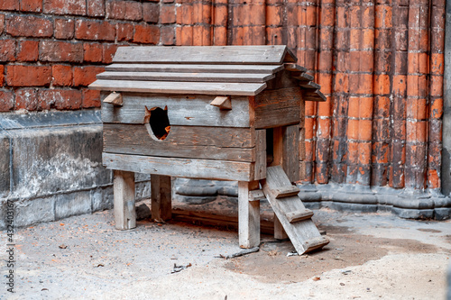 Photography Wooden city house for cats on the background of a brick stone wall (271)