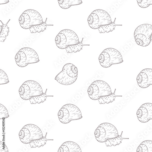 Hand Drawn Garden Snail Engraved Seamless Pattern in Vintage Style. Grape cochlea black and white sketch style pattern. Engraved mollusk ornament for wrapping paper, background, textile and fabric