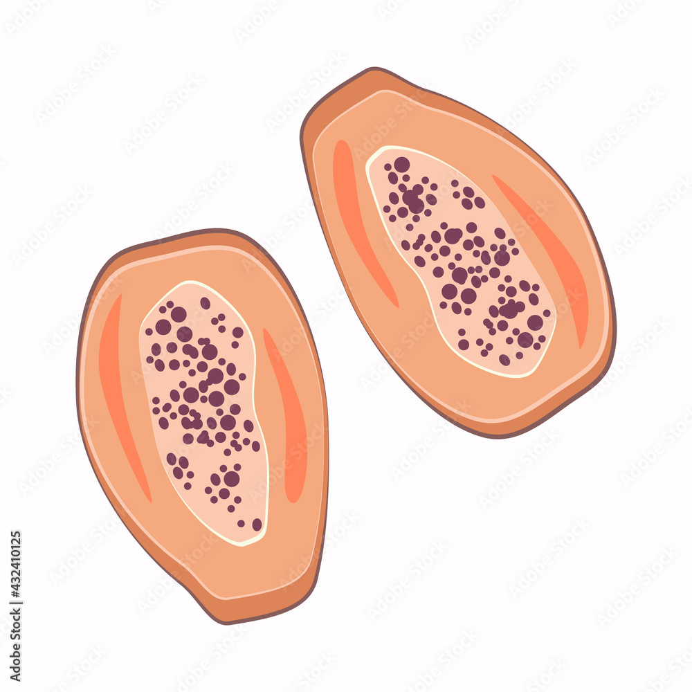Papaya cut in half. Vegan food. Organic product. Healthy nutrition. Vector illustration in cartoon style for design. Papaya cut in half. Vegan food. Organic product. Healthy nutrition. Vector illustration in cartoon style for design.
