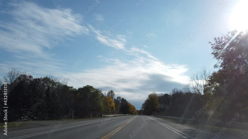 Beautiful Green Trees With Sunlight Reflection While Driving Down Long Country Road Open Air Background Backdrop Beautiful Green Trees With Sunlight Reflection While Driving Down Long Country Road Open Air Background Backdrop