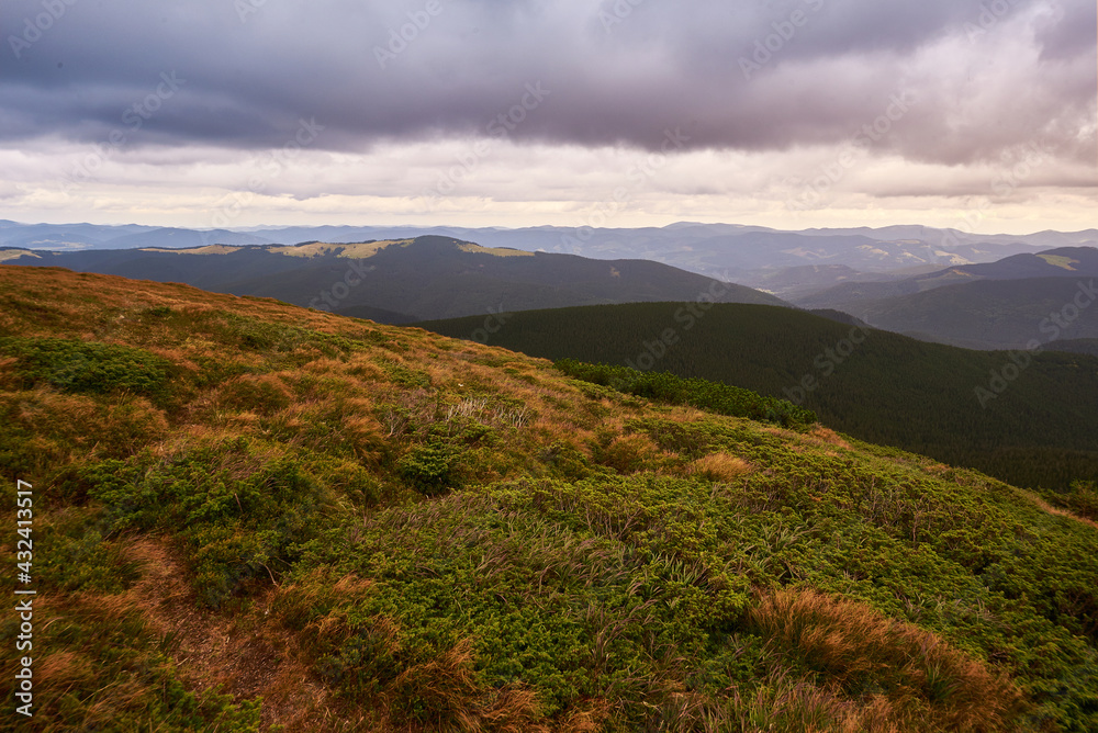 mountain view with brown and green grass. Carpathians