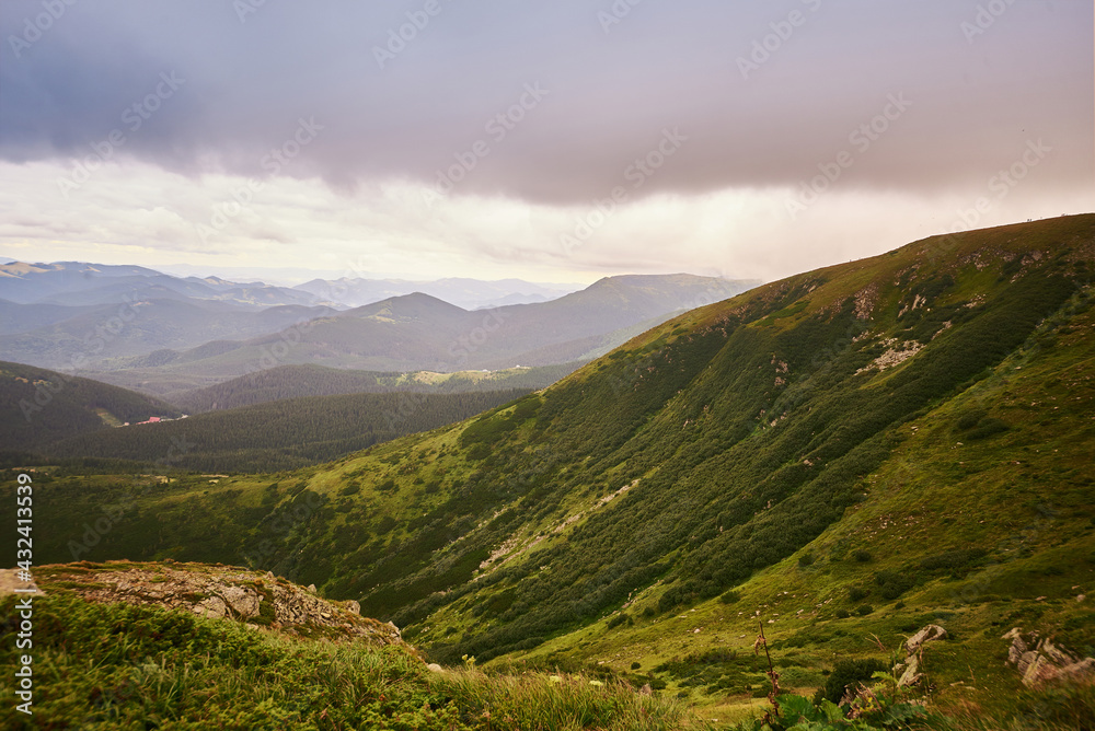 Fototapeta premium mountain view with brown and green grass. Carpathians