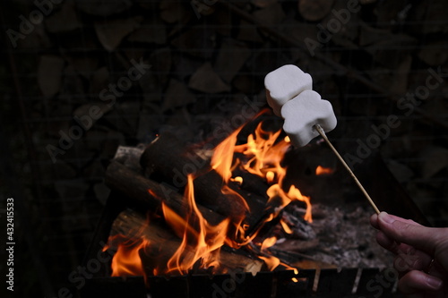 Roasting marshmallows. On a dark background with fire. Marshmallow