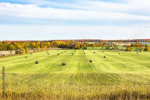 Rolling field of fresh round hay bales on an autumn landscape background.