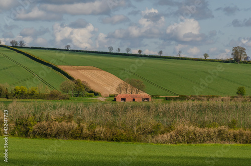 landscape with barn in the field