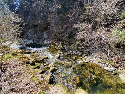 Subalpine river Rümlig (Ruemlig or Rumlig) in a forest gorge at the bottom of the northern slopes of the Pilatus mountain massif, Schwarzenberg LU - Canton of Lucerne (Kanton Luzern), Switzerland photo