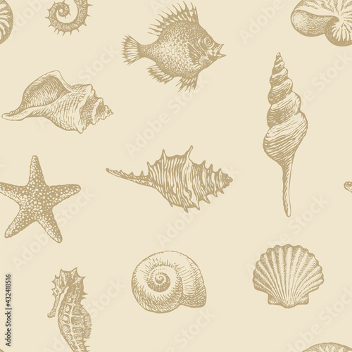 Seamless pattern with beautiful hand-drawn seashells of various shapes. Vector background in beige colors in retro style. Pencil drawings of shells, starfish and seahorse on an old paper backdrop