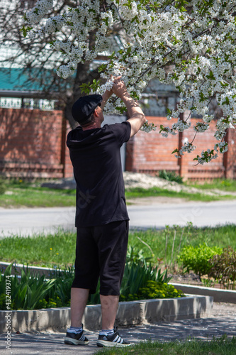 The man who sniffs the leaves on the tree 