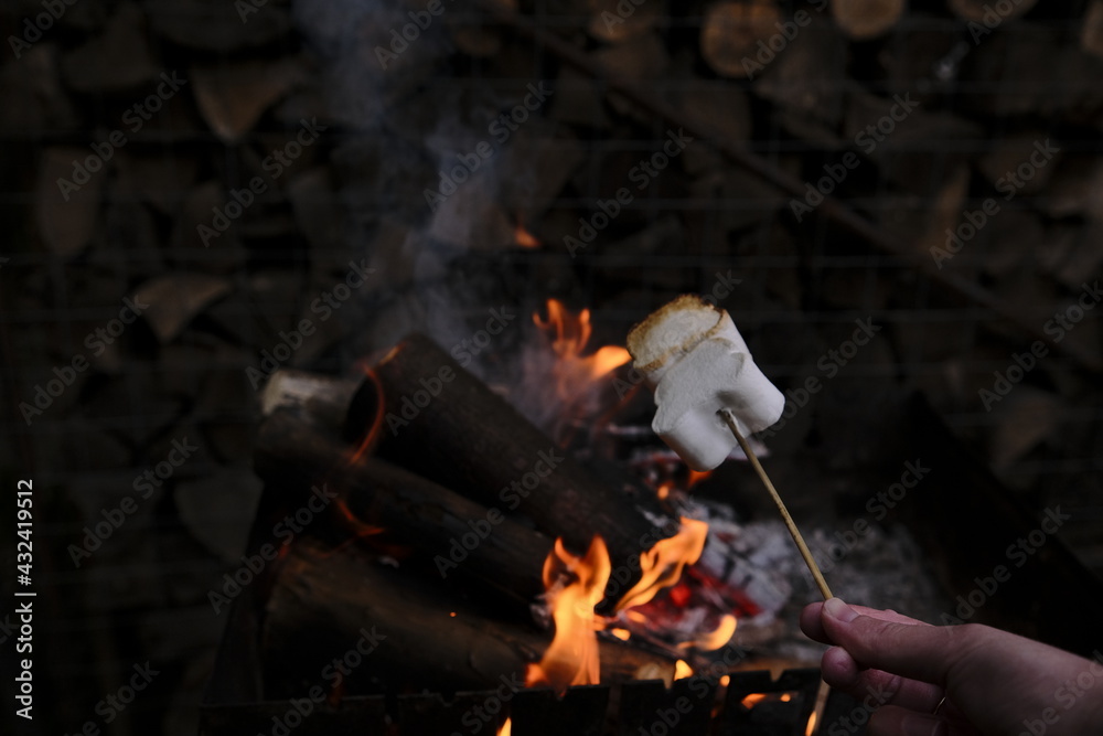 Roasting marshmallows. On a dark background with fire. Marshmallow Roasting marshmallows. On a dark background with fire. Marshmallow