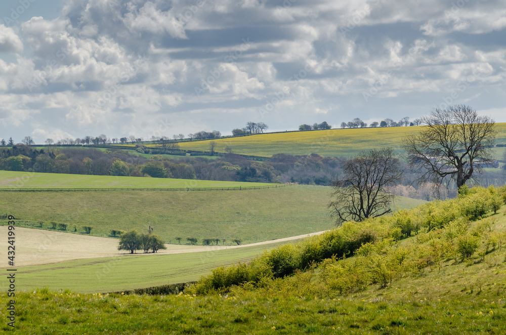 landscape in Lincolnshire wolds 