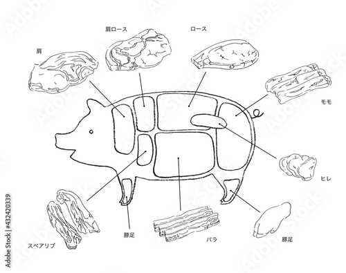 豚肉部位のイラスト-手描きの線画