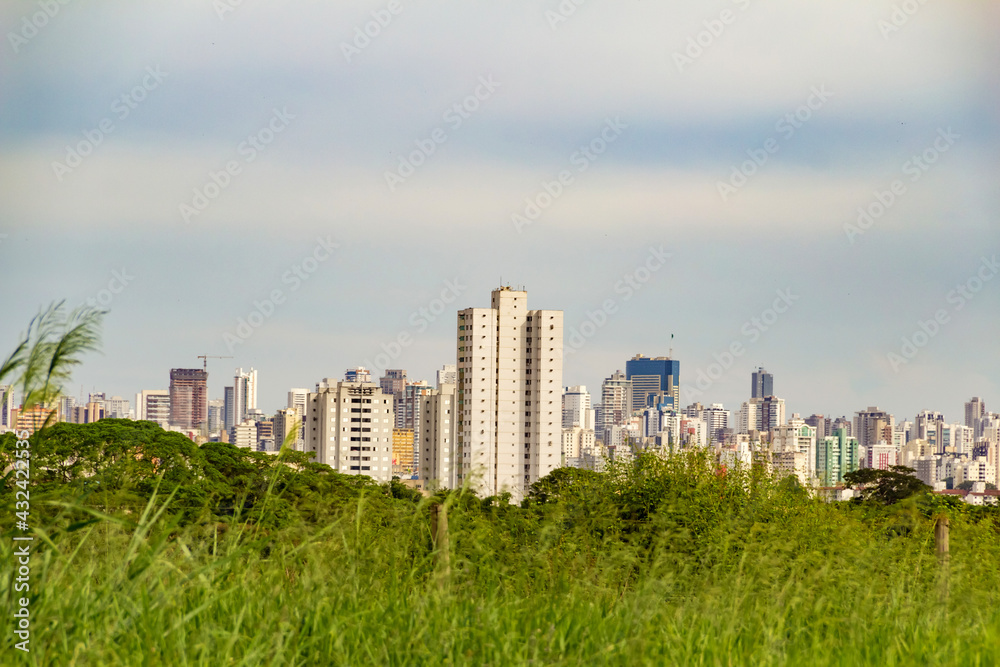 Fototapeta premium Paisagem urbana da cidade de Goiânia com grama em primeiro plano.