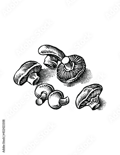 mushrooms