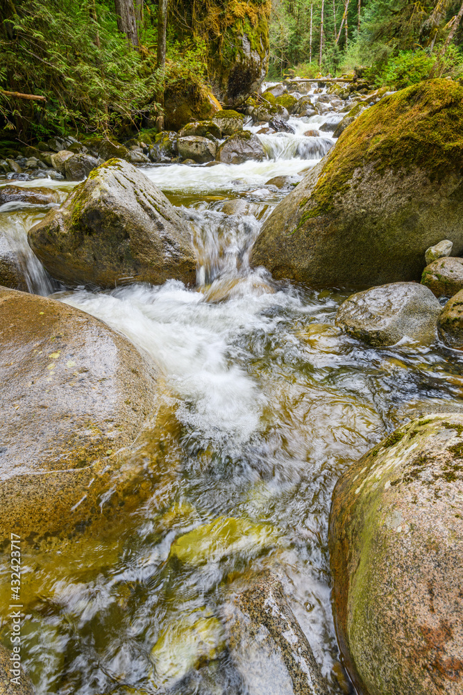 Olney Creek in the Skykomish Watershed flowing between boulders in the riverbed on its descent