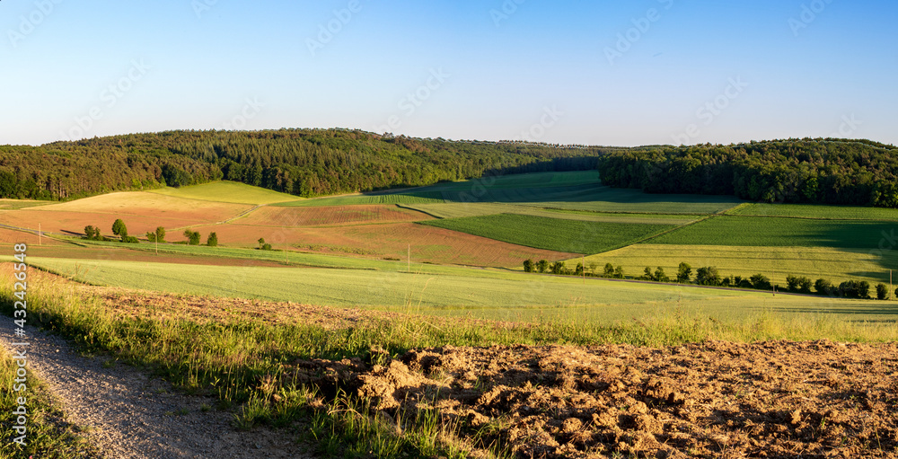 Beautifull rural landscape in the countryside with agricultural field and view to Taubertal valley with trees in summer in Werbach, Germany.