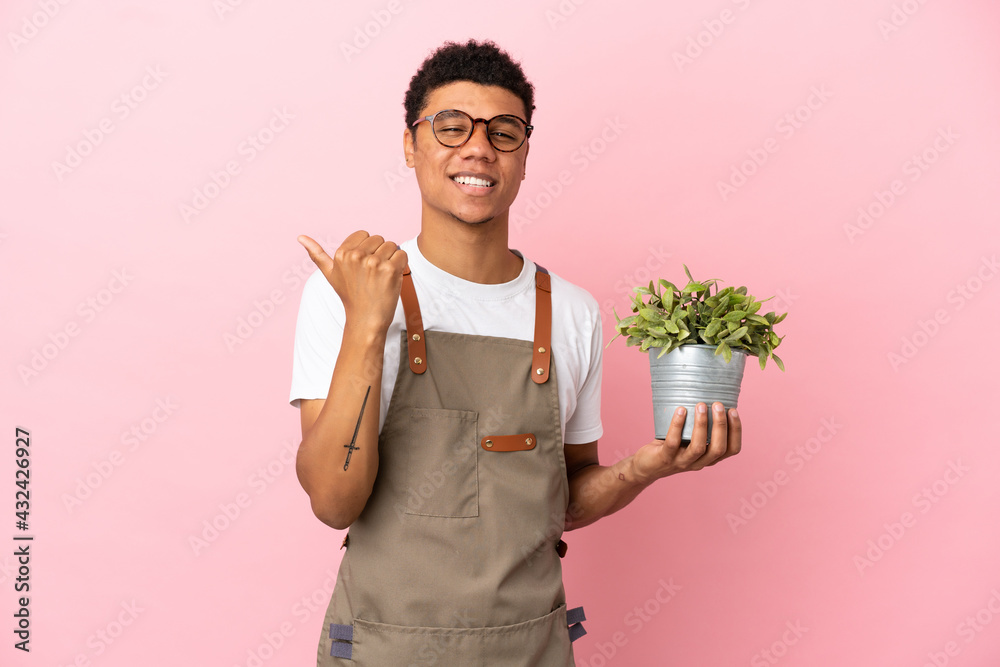 Gardener African man holding a plant isolated on pink background pointing to the side to present a product Gardener African man holding a plant isolated on pink background pointing to the side to present a product