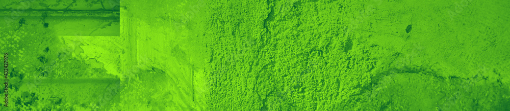 Fototapeta premium abstract green bright color background for design