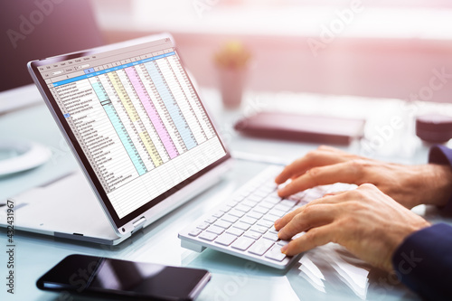 Analyst Auditor Using Electronic Spreadsheet