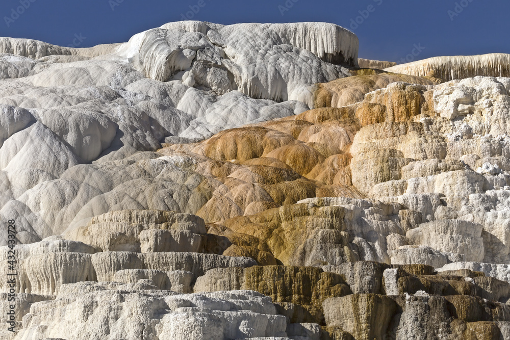Mammoth Hot Springs, Lower Terraces area in Yellowstone National Park, Wyoming, USA.