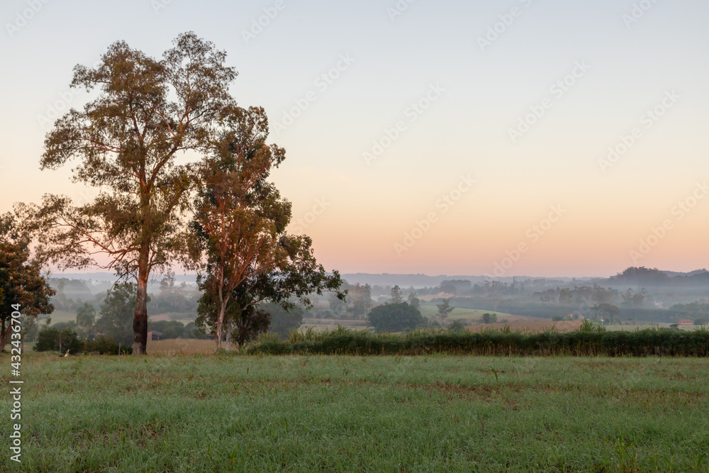 Farm fields at sunrise with fog