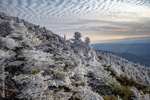 Fresh snow on the Camel's Hump trail in Vermont