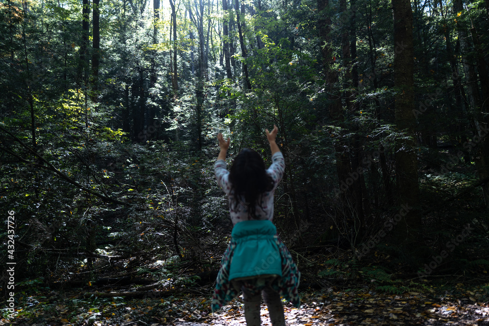 A young girl with her arms raised to the sky in a forest setting A young girl with her arms raised to the sky in a forest setting