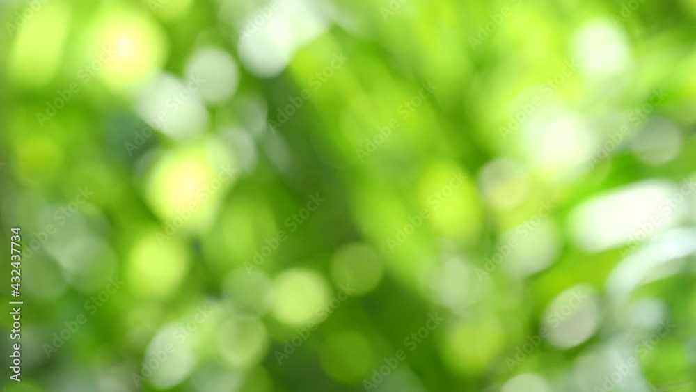 Nature green bokeh sunshine abstract blurred background Nature green bokeh sunshine abstract blurred background