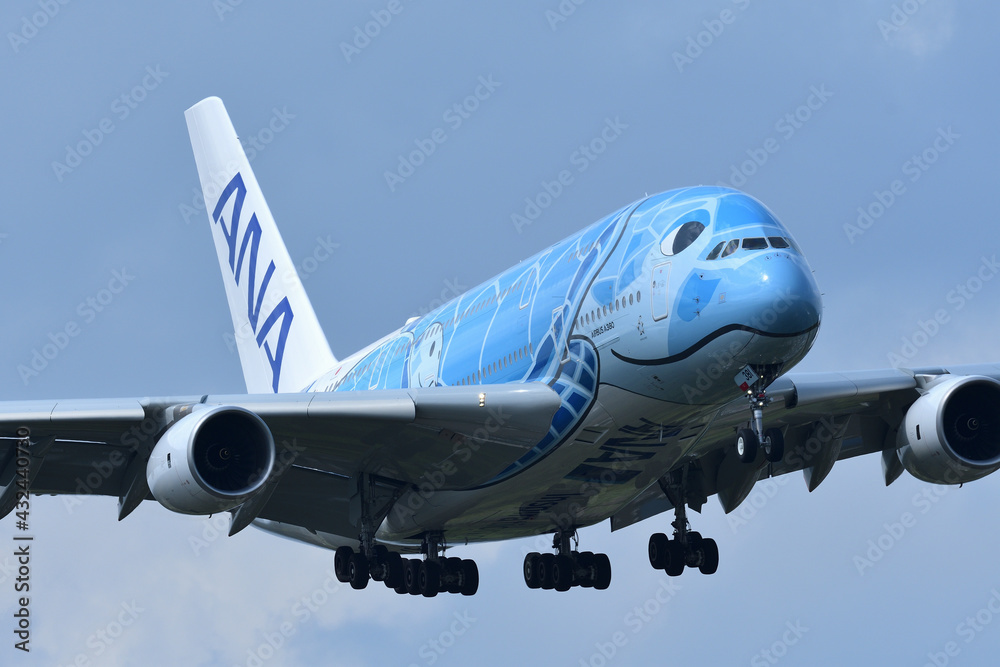 Chiba, Japan - May 05, 2019:All Nippon Airways (ANA) Airbus A380
