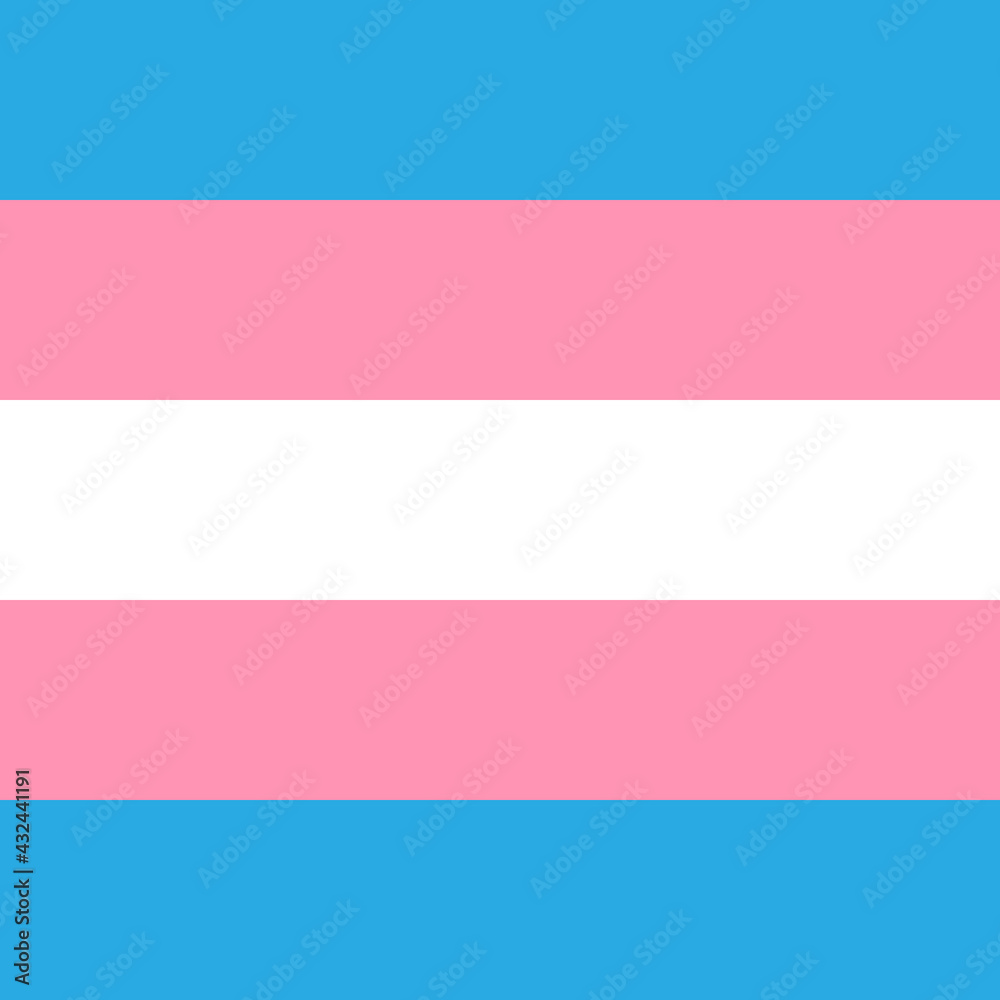 Vector flat transsexual transgender lgbt flag isolated on white background